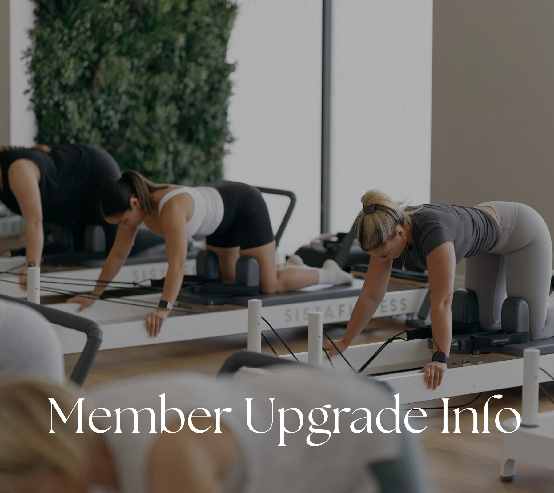 member upgrade 8566