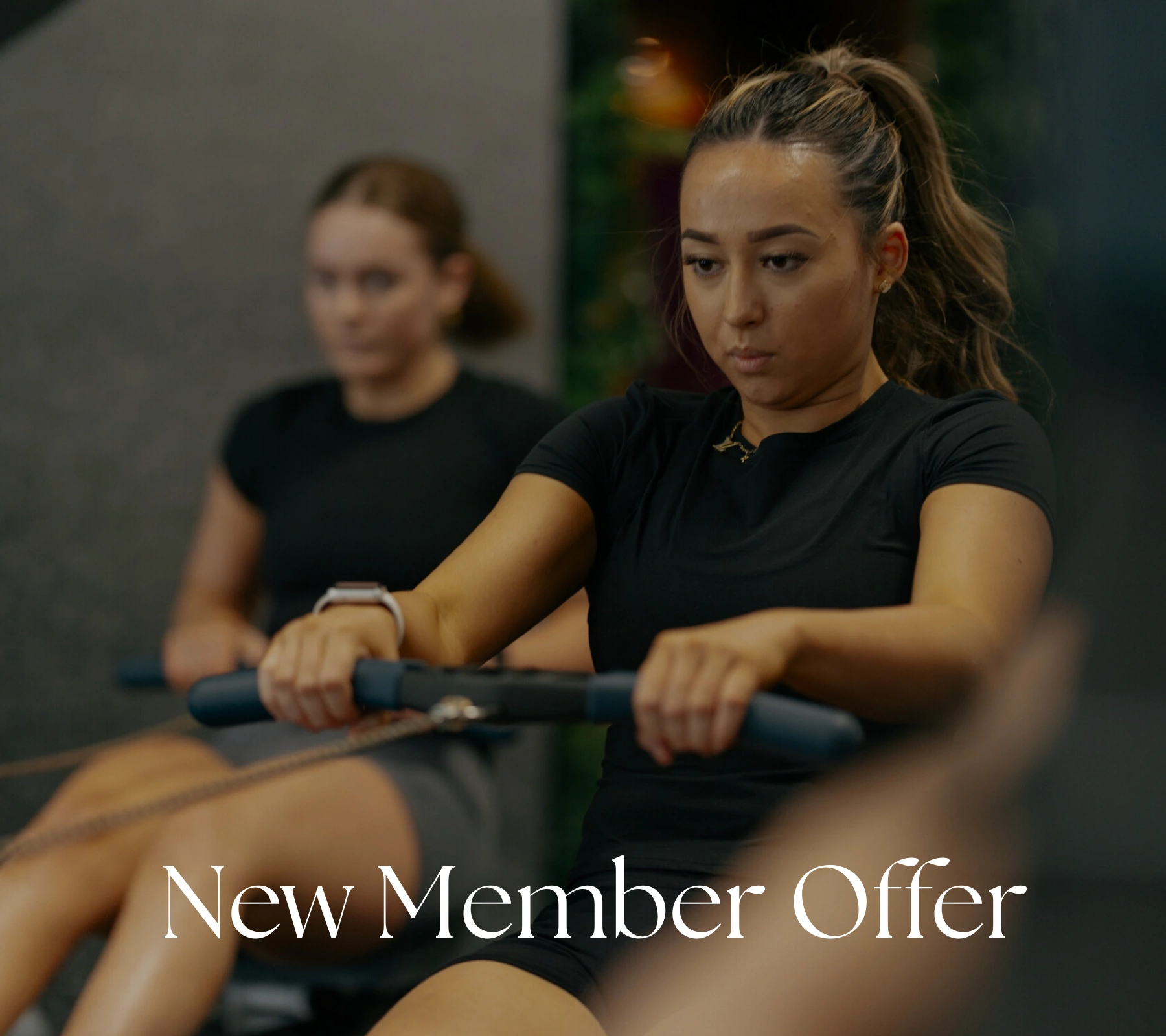new member 5344