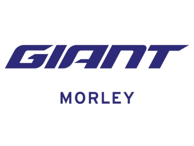 giant morley 15
