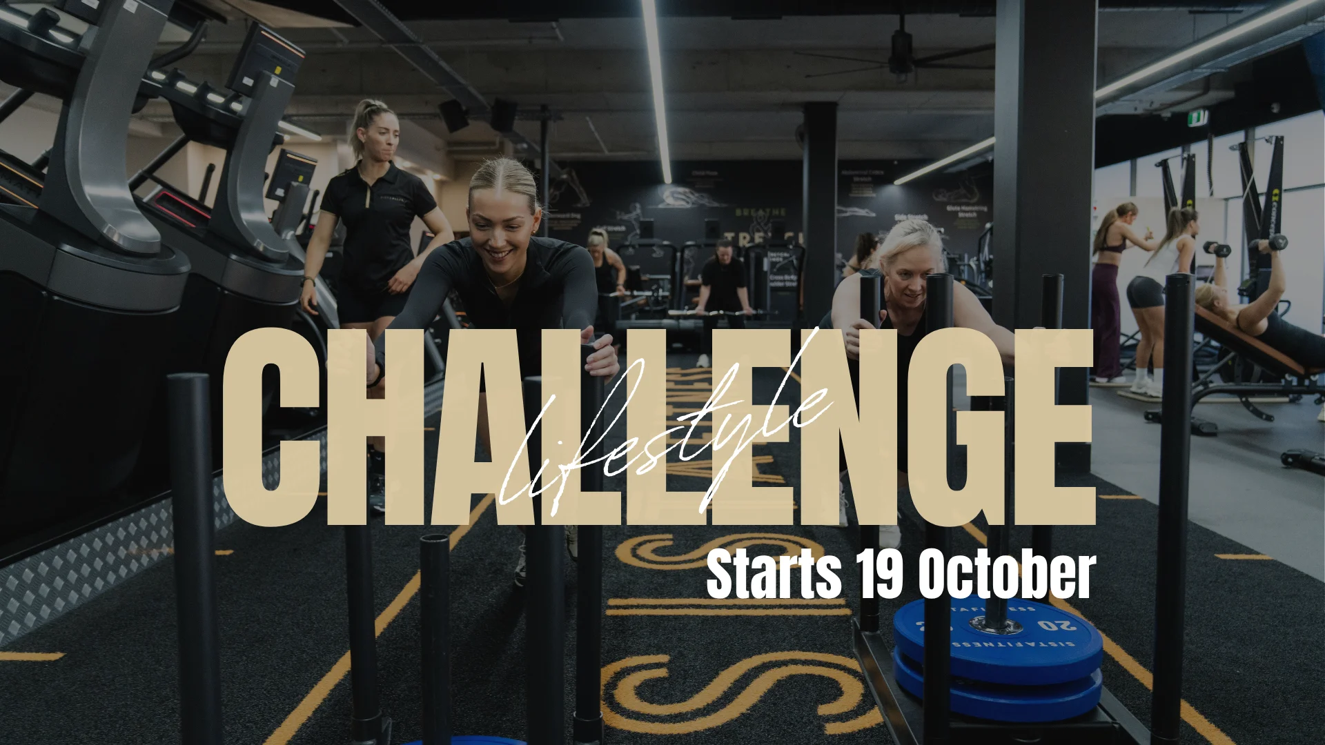Lifestyle challenge 2026